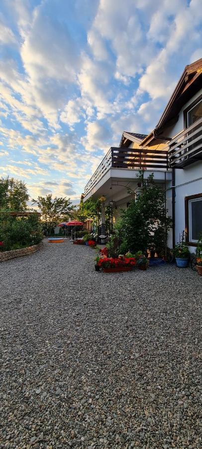 SînpetruCasa Aryanアパートメント エクステリア 写真