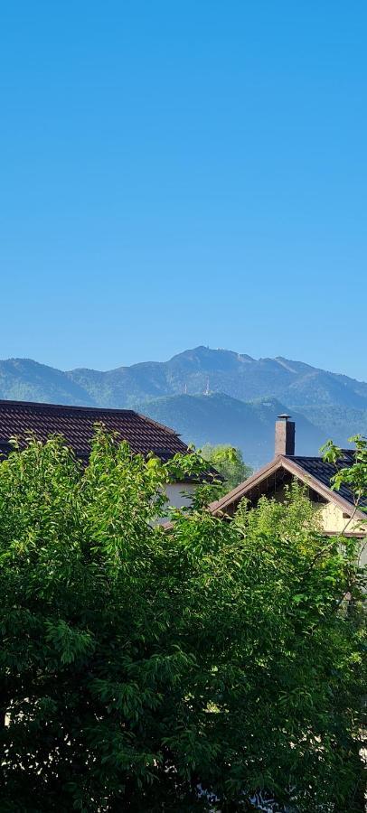 SînpetruCasa Aryanアパートメント エクステリア 写真