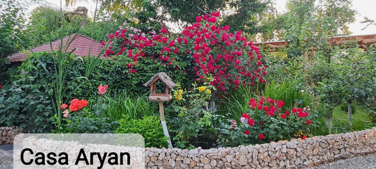 SînpetruCasa Aryanアパートメント エクステリア 写真