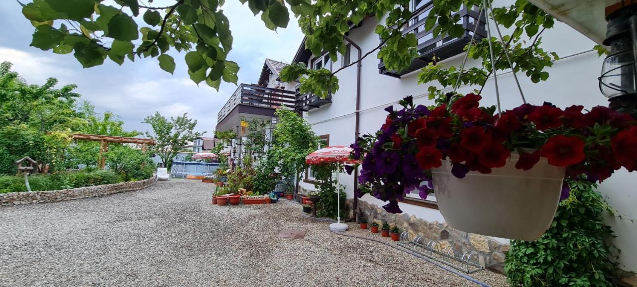 SînpetruCasa Aryanアパートメント エクステリア 写真