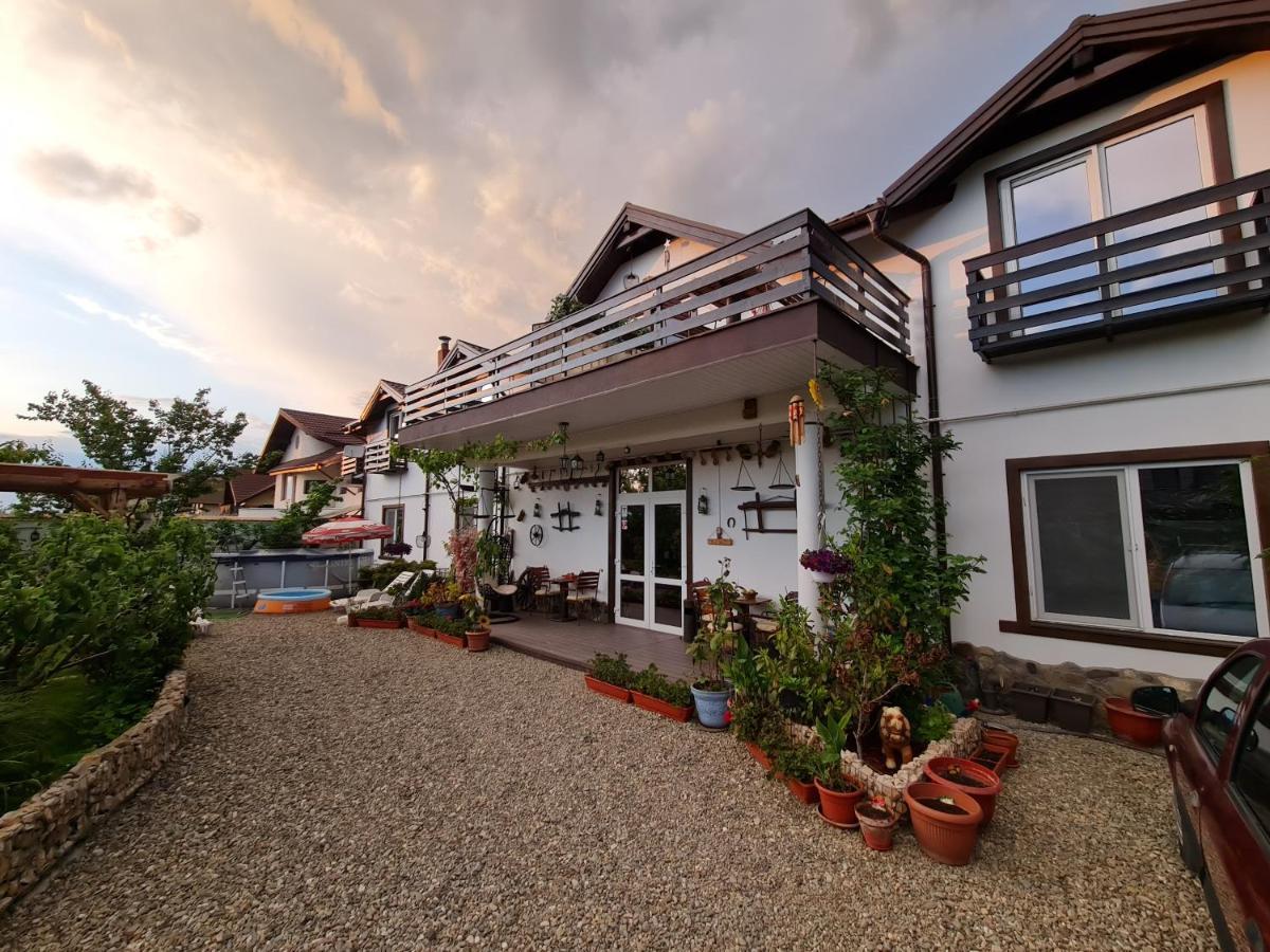 SînpetruCasa Aryanアパートメント エクステリア 写真