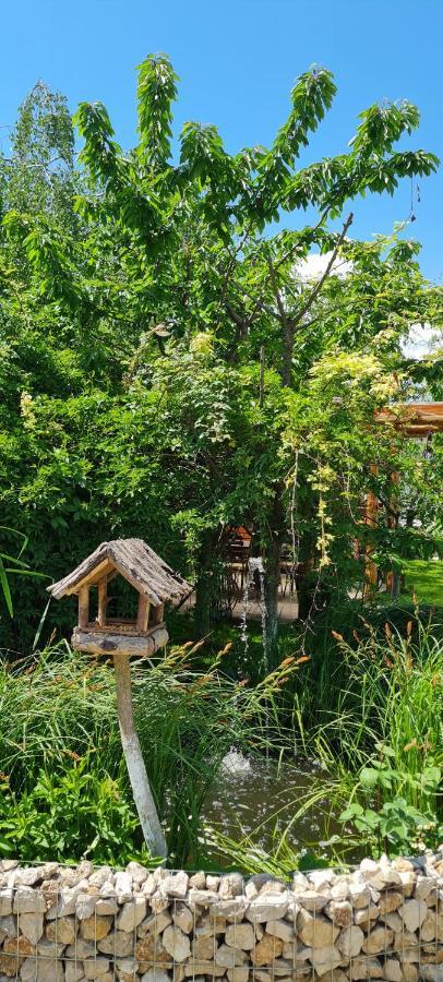 SînpetruCasa Aryanアパートメント エクステリア 写真