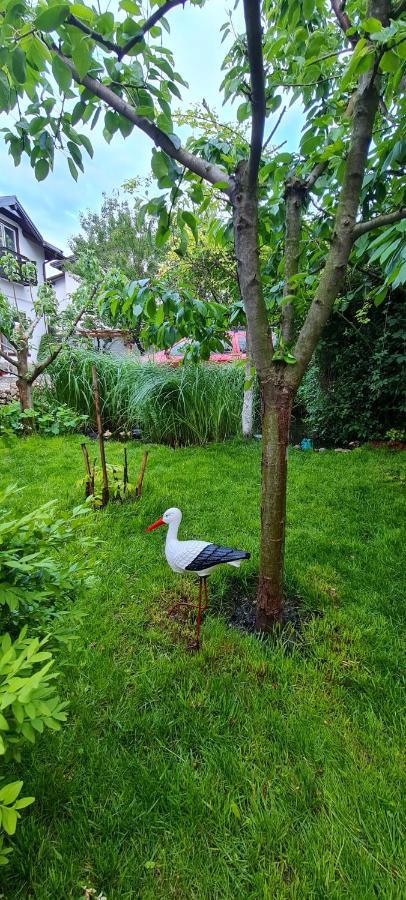 SînpetruCasa Aryanアパートメント エクステリア 写真