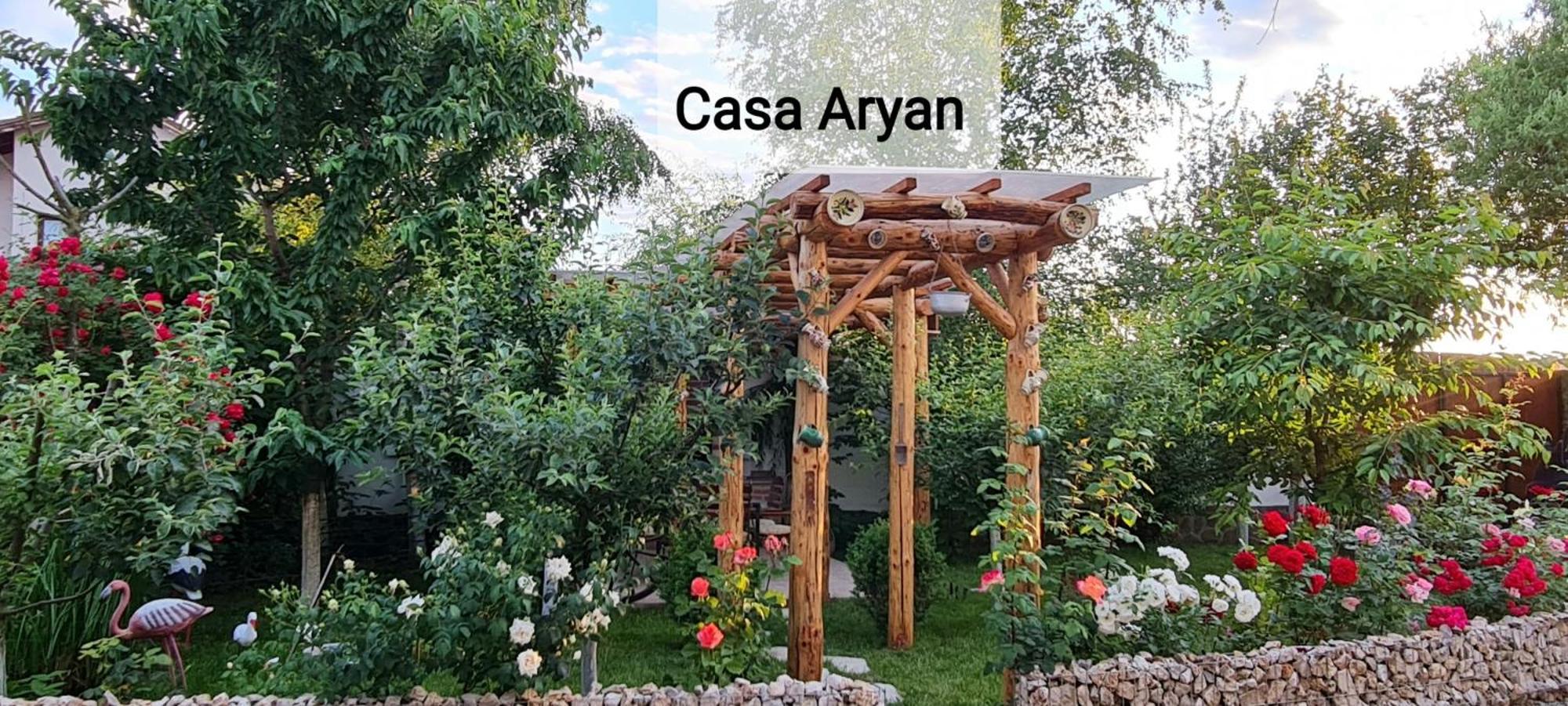 SînpetruCasa Aryanアパートメント エクステリア 写真